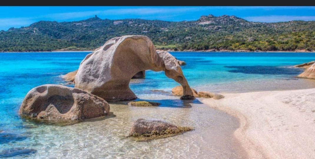 Appartamento Taras Sottovento - Porto Cervo アッビアドリ 部屋 写真